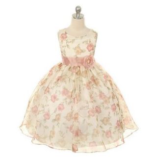 Kids Dream Little Girls Vintage Rose Organza Floral Easter Dress 2T 12