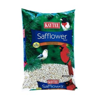 Kaytee Safflower Wild Bird Seed   Bird Seed & Food