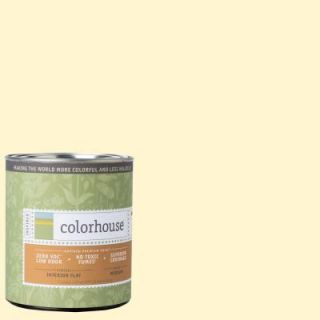 Colorhouse 1 qt. Air .04 Flat Interior Paint 661147