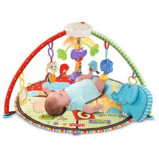 Fisher Price   Luv U Zoo Deluxe Musical Mobile Gym